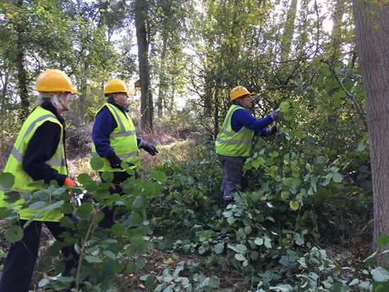 people in high viz jackets in woodland