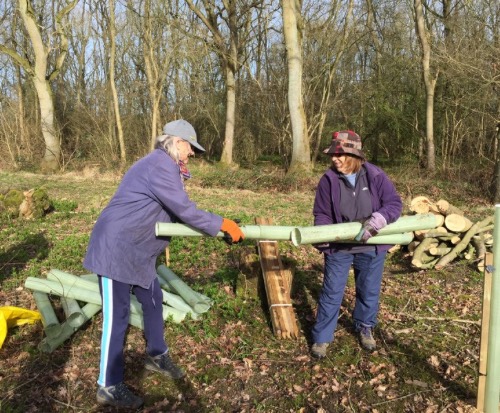 two women with tree tubes in woodland